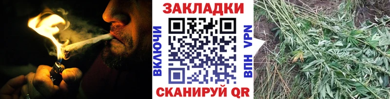 Виды наркотиков купить Венёв Марихуана кракен сайт Амфетамин Героин Альфа ПВП Меф мяу мяу Псилоцибиновые грибы