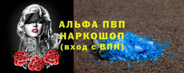 шишки Алзамай