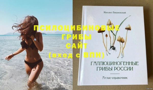 шишки Алзамай