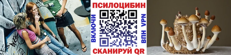 Псилоцибиновые грибы ЛСД  дарнет шоп  Венёв 